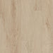 Philadelphia Commercial - Indwell 12 - Luxury Vinyl Plank - Sand Dune