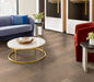 Philadelphia Commercial - Metalsmith - Luxury Vinyl Plank - Molten floor installation