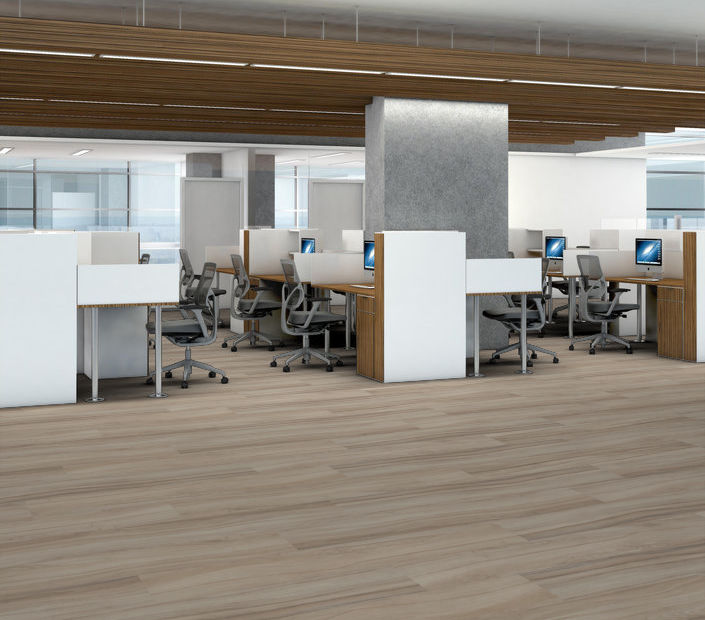 Philadelphia Commercial - Rewild - Luxury Vinyl Plank - Solace floor installation
