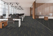 EF Contract - Echo - 24 in. x 24 in. - Commercial Carpet Tile - Medallion floor installation