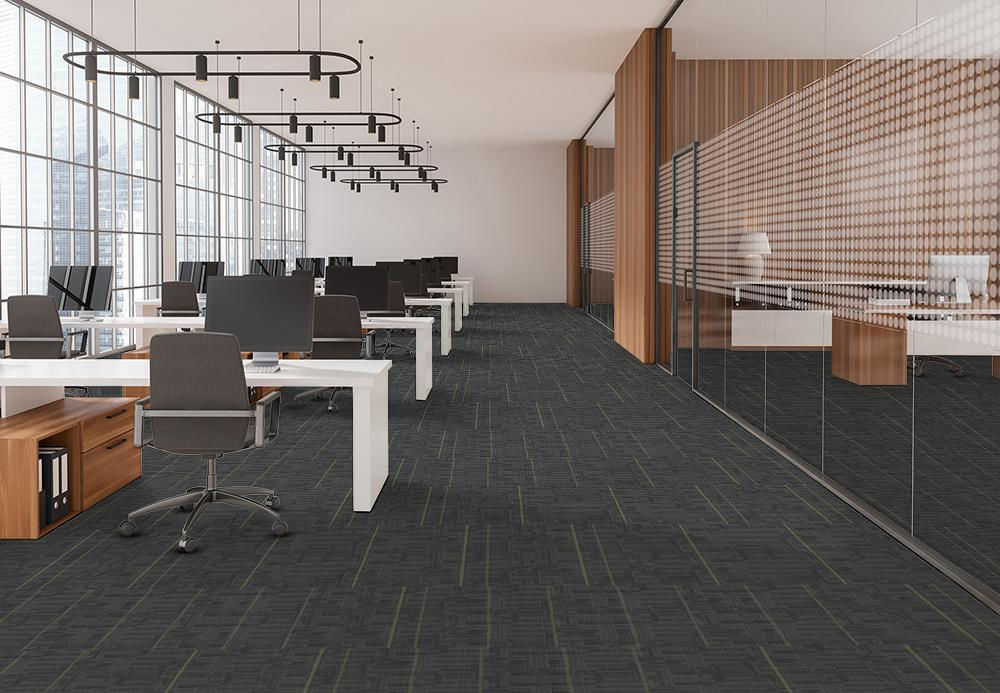 EF Contract - Echo - 24 in. x 24 in. - Commercial Carpet Tile - Parrot floor installation