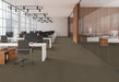 EF Contract - Uplink 20 - Commercial Carpet Tile - Praline floor installation