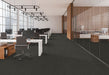 EF Contract - Cabled - 24 in. x 24 in. - Commercial Carpet Tile - Session floor installation