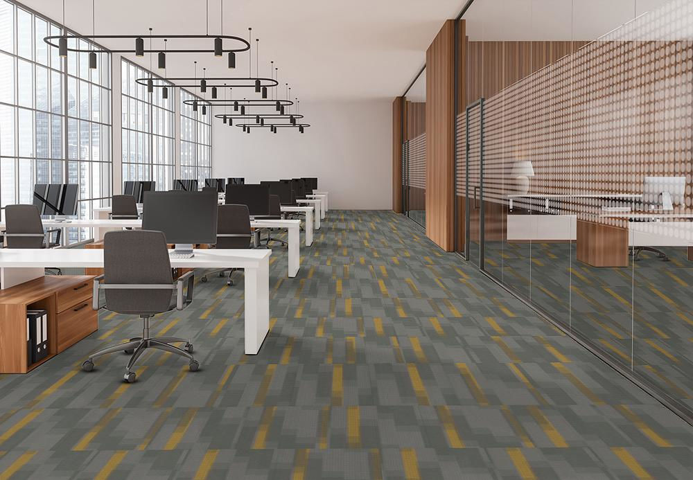 EF Contract - Amplify - 24 in. x 24 in. - Commercial Carpet Tile - Medallion floor installation
