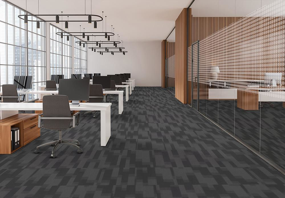 EF Contract - Magnify - 24 in. x 24 in. - Commercial Carpet Tile - Skyrocket floor installation