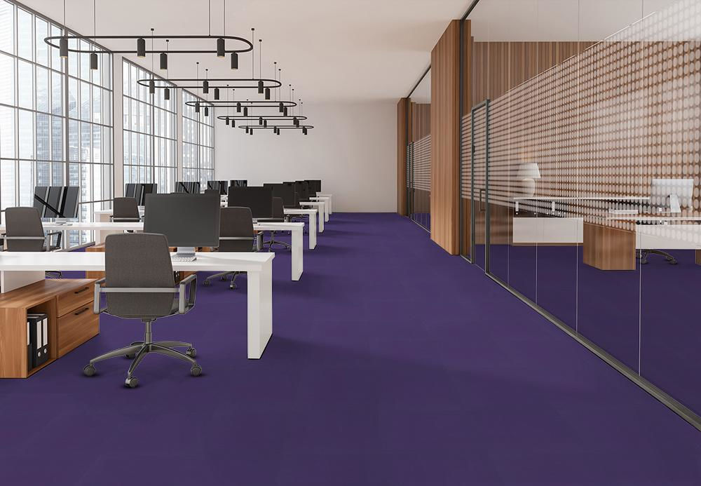 EF Contract - Colorburst - 24 in. x 24 in. - Commercial Carpet Tile - Royal Purple floor installation