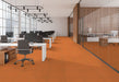EF Contract - Colorburst - 24 in. x 24 in. - Commercial Carpet Tile - Sunburst floor installation