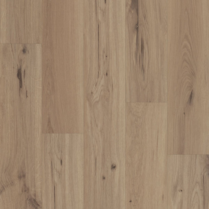 Philadelphia Commercial - Whisperia - Luxury Vinyl Tile - Hush Hush