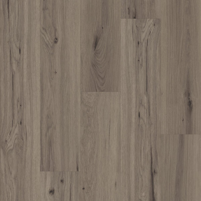 Philadelphia Commercial - Whisperia - Luxury Vinyl Tile - Psst