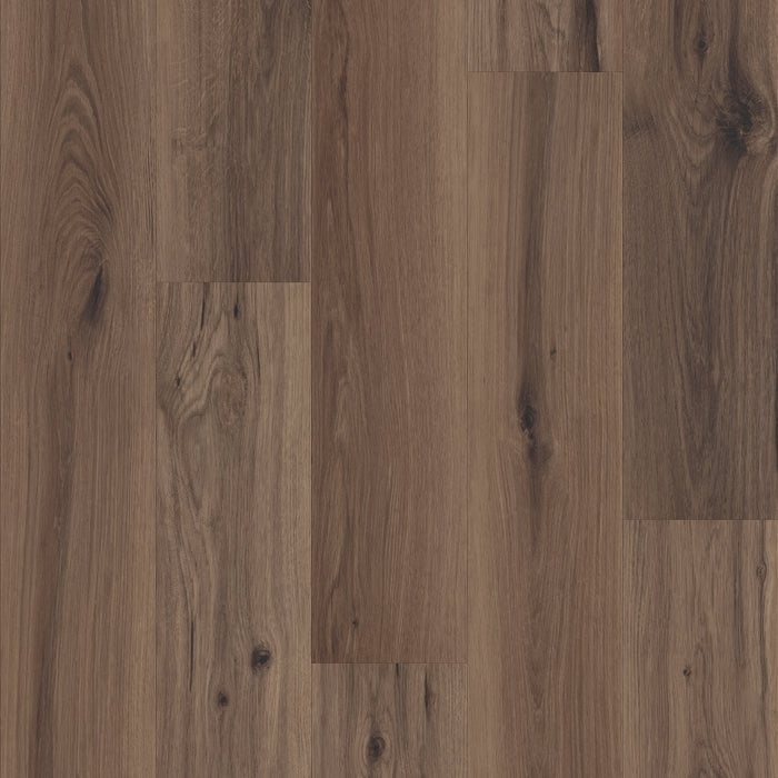 Philadelphia Commercial - Whisperia - Luxury Vinyl Tile - Muted Echo