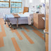 Karndean - Opus 6 in. x 36 in. Commercial Gluedown Vinyl Plank - Amber Patient Room Install