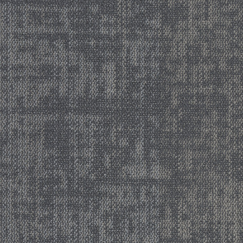 Shaw Contract - Creative Zone - Daydreamer Tile - 24 in. x 24 in. - Commercial Carpet Tile - Cultivate