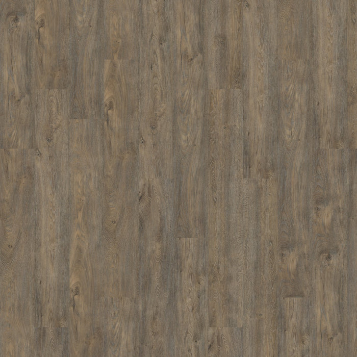 Patcraft - Adesa - 7 in. x 48 in. Luxury Vinyl - Treeline