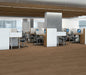 Philadelphia Commercial - Silva Valley 20 - Luxury Vinyl Plank - Grand Arches floor installation