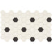 Daltile - Keystones - 2" x 2" Hexagon - Porcelain Tile Mosaic - Matte - Arctic White/Black