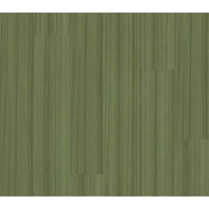Philadelphia Commercial - Color Scope Ille - Luxury Vinyl Tile - Cactus