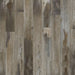 Mohawk - SolidTech Select -Explorers Forest 7 in. x 48 in. - Raccoon