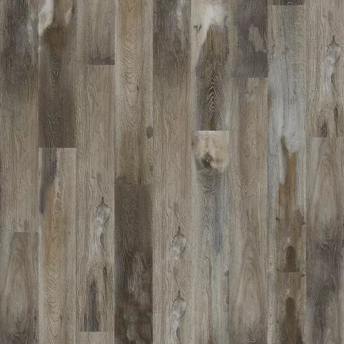 Mohawk - SolidTech Select - Explorer's Cove 7 in. x 48 in. - Raccoon