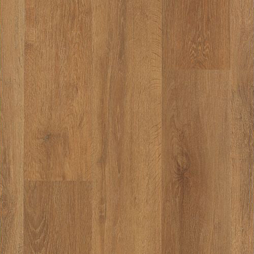 Mohawk - SolidTech Select -Explorers Forest 7 in. x 48 in. - Stormy Sands