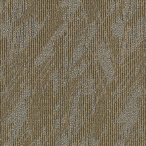 Aladdin Commercial Total Visual Carpet Tile - Completely Intuitive