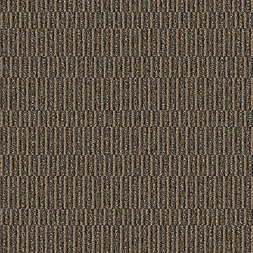 Aladdin Commercial - Define Collection - Compel - Carpet Tile - Persuade