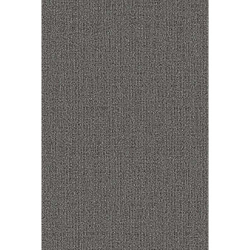 Aladdin Commercial Special Coverage Carpet Tile - Instant Replay