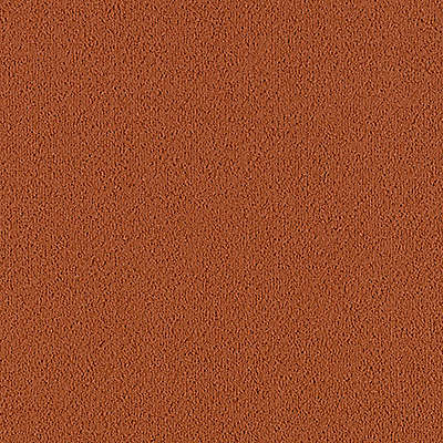 Aladdin Commercial - Color Pop 12 in. x 36 in. Carpet Tile - Cajun Spice