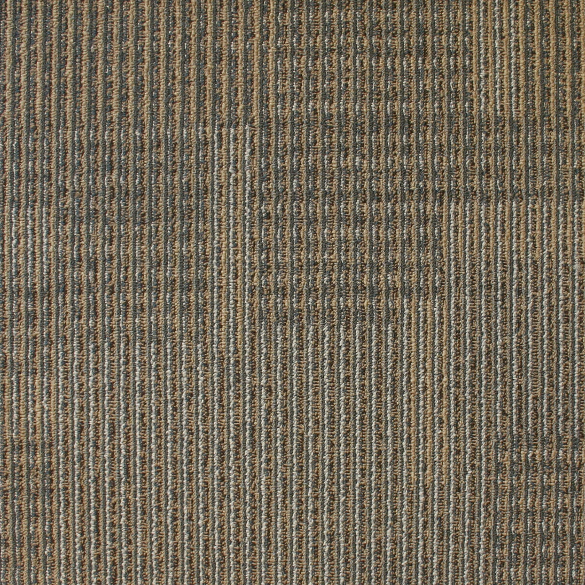 Kraus - Rhone - Commercial Carpet Tile - Acorn