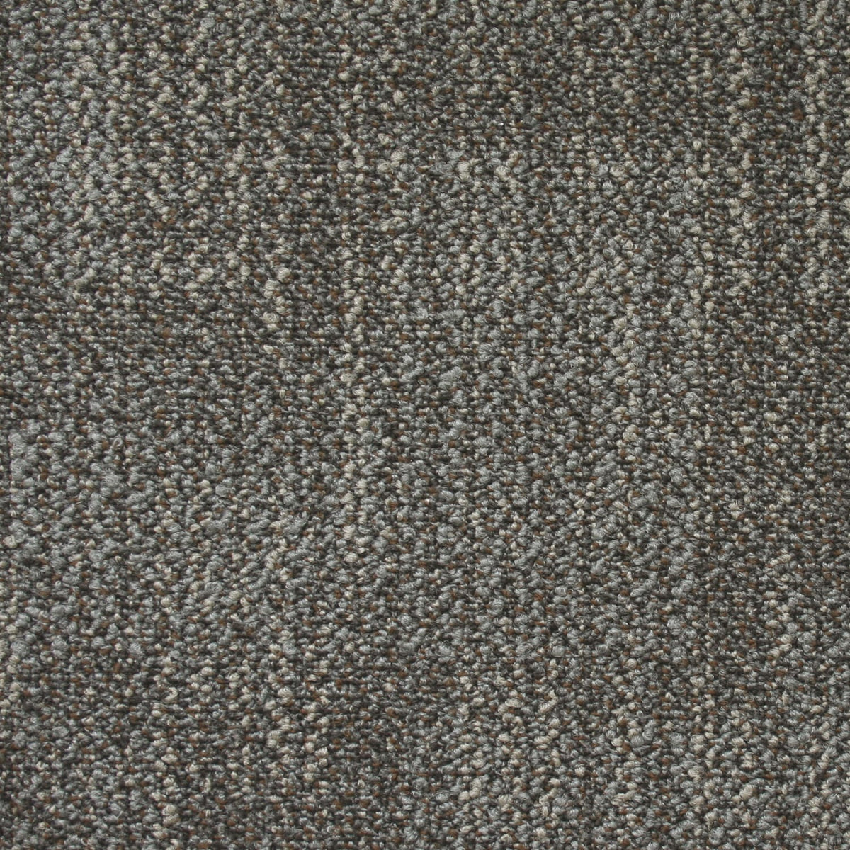 Kraus - Van Der Rohe- Carpet Tile - Rock Grey