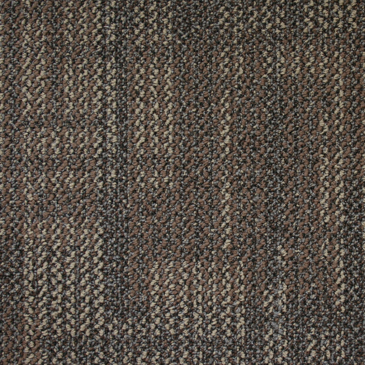 Kraus - Van Der Rohe- Carpet Tile - Coconut Shell