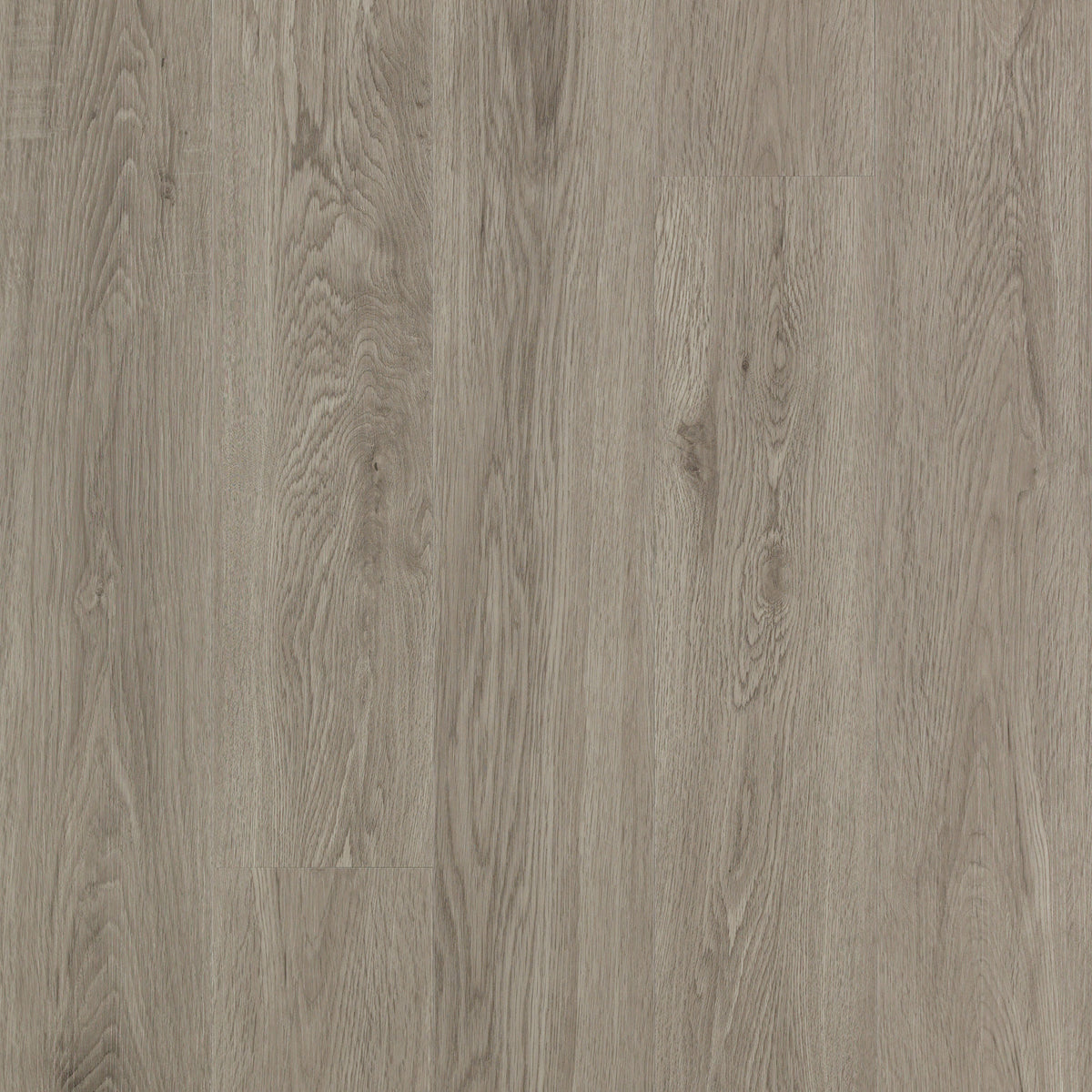 Mohawk - Discovery Ridge - 6 in. x 48 in. Luxury Vinyl Plank - Desert ...